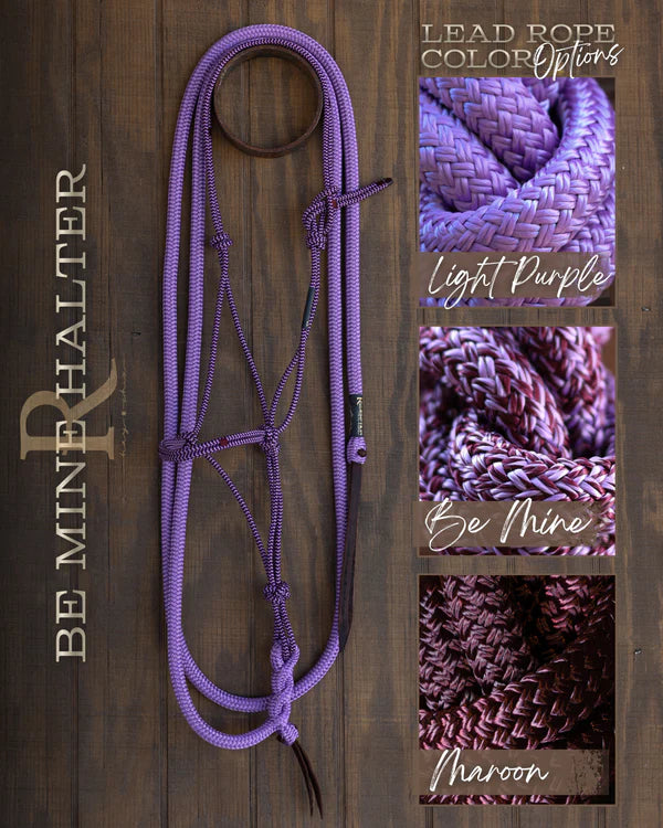 Hay Chix Halter & Lead Rope Set