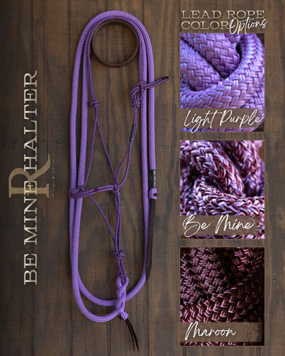 Hay Chix Halter & Lead Rope Set