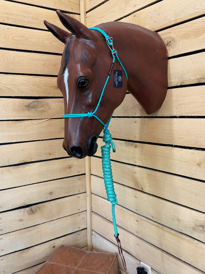 Twisted Knot Halters Rope Halter w/ Easy Off Clip & Lead
