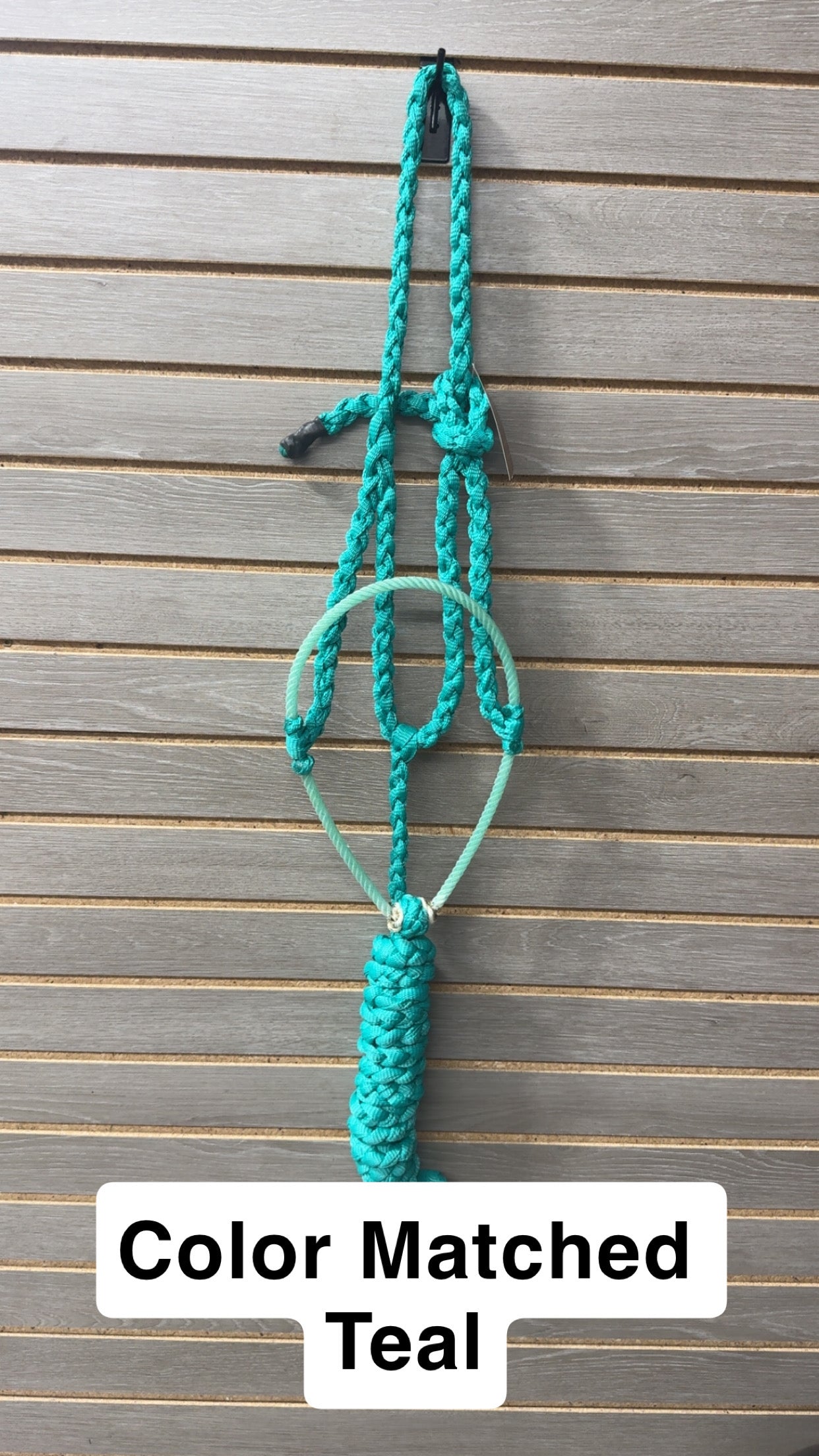 Special C Muletape Lariat Halter w/ Lead