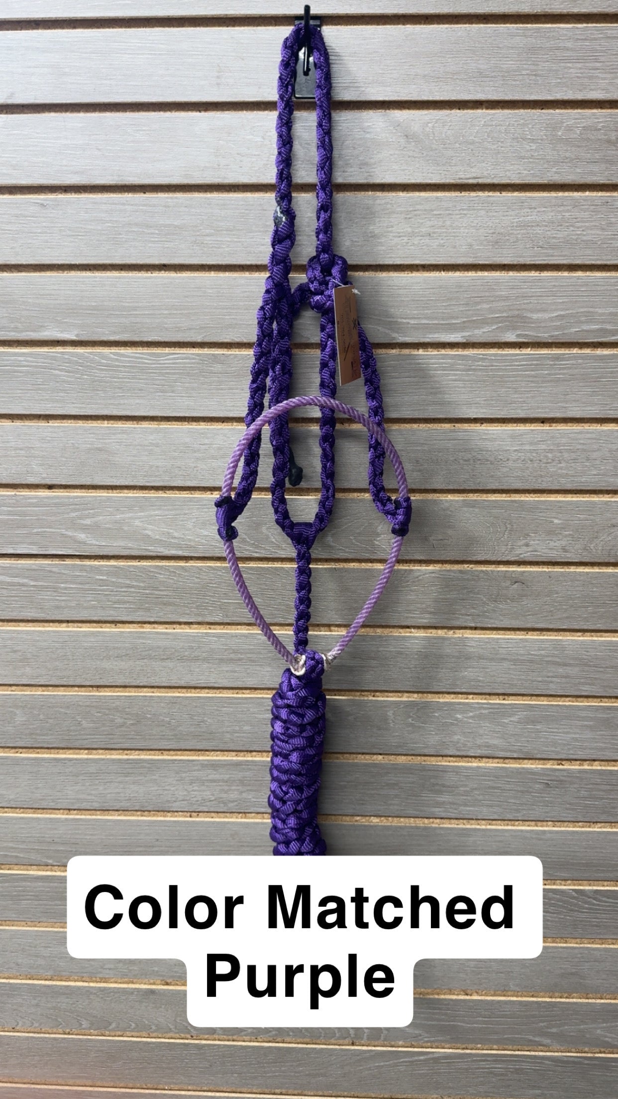 Special C Muletape Lariat Halter w/ Lead