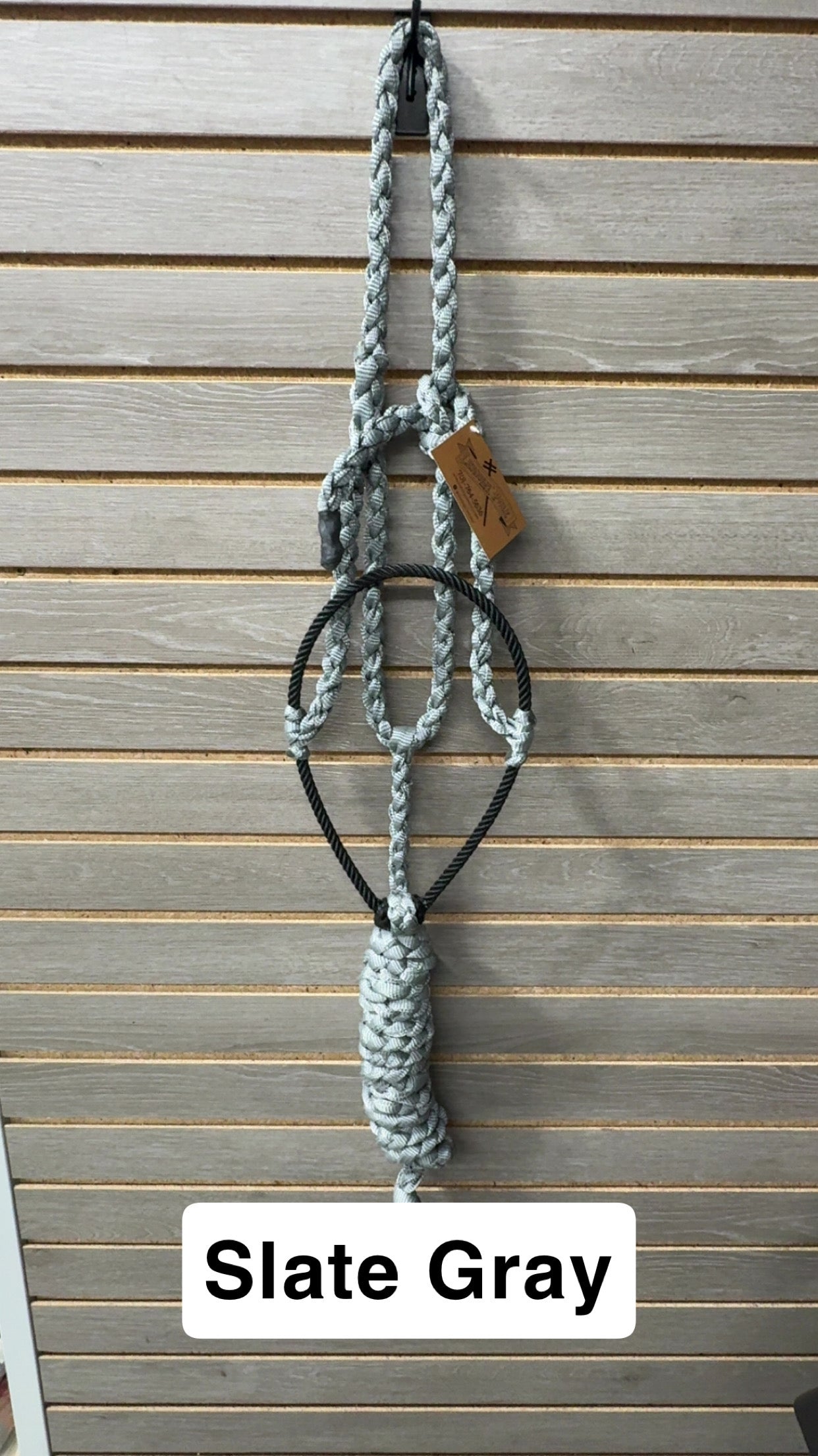 Special C Muletape Lariat Halter w/ Lead
