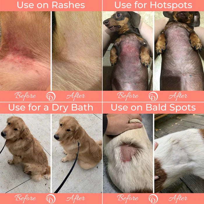 Coat Defense Daily Preventative Powder (Dog & Cat)