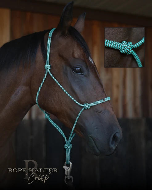 Hay Chix Redemption Rope Halter- Standard Size