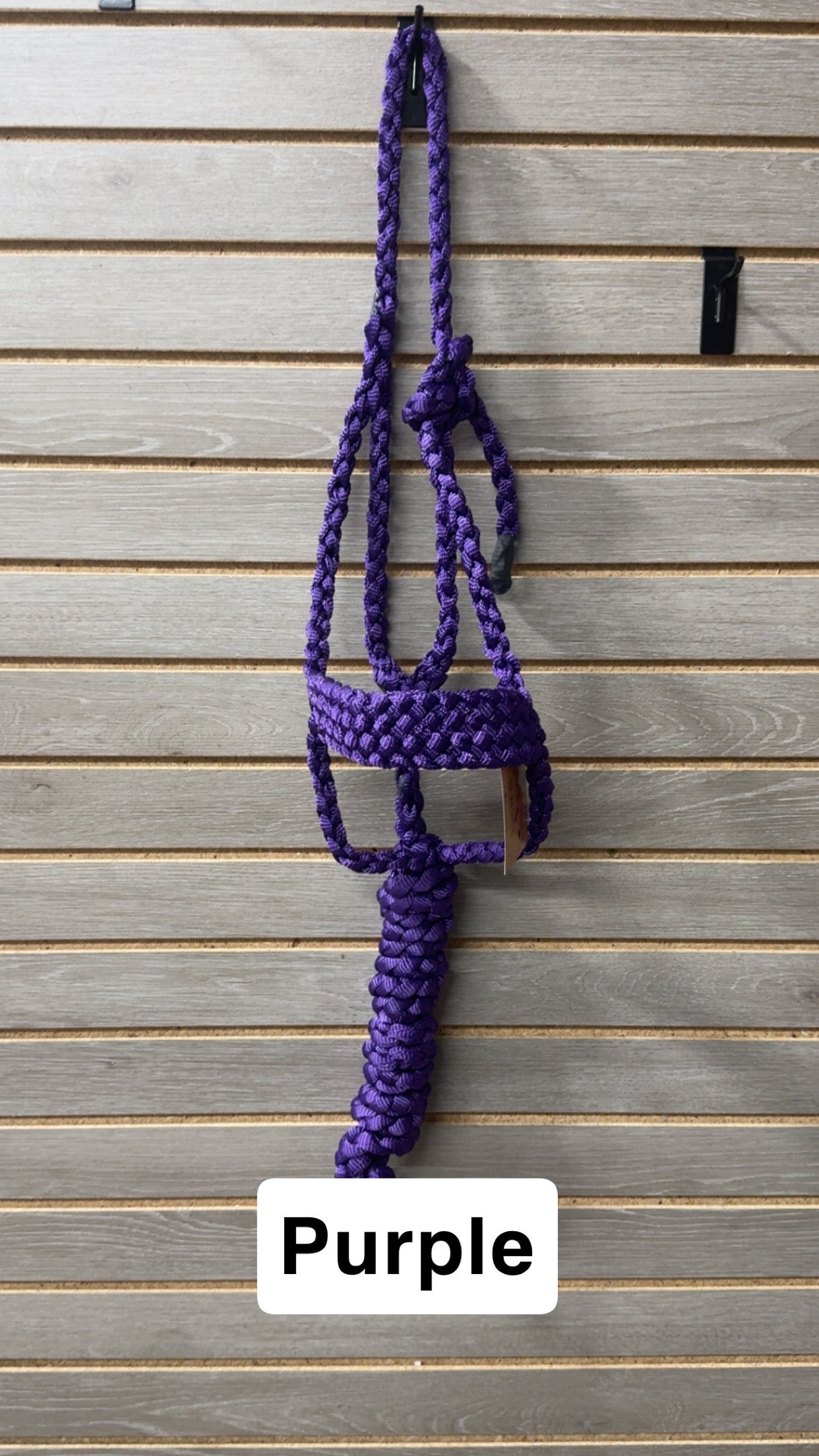 Special C Muletape Brute Halter w/ Lead