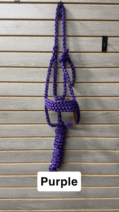 Special C Muletape Brute Halter w/ Lead