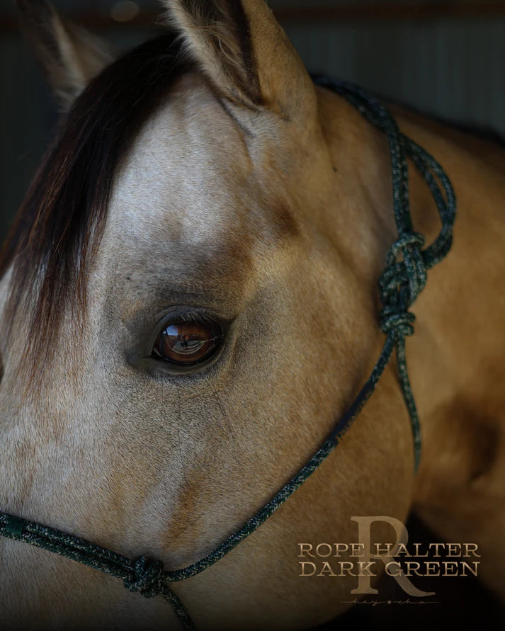Hay Chix Redemption Rope Halter