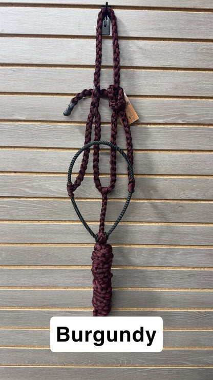 Special C Muletape Lariat Halter w/ Lead