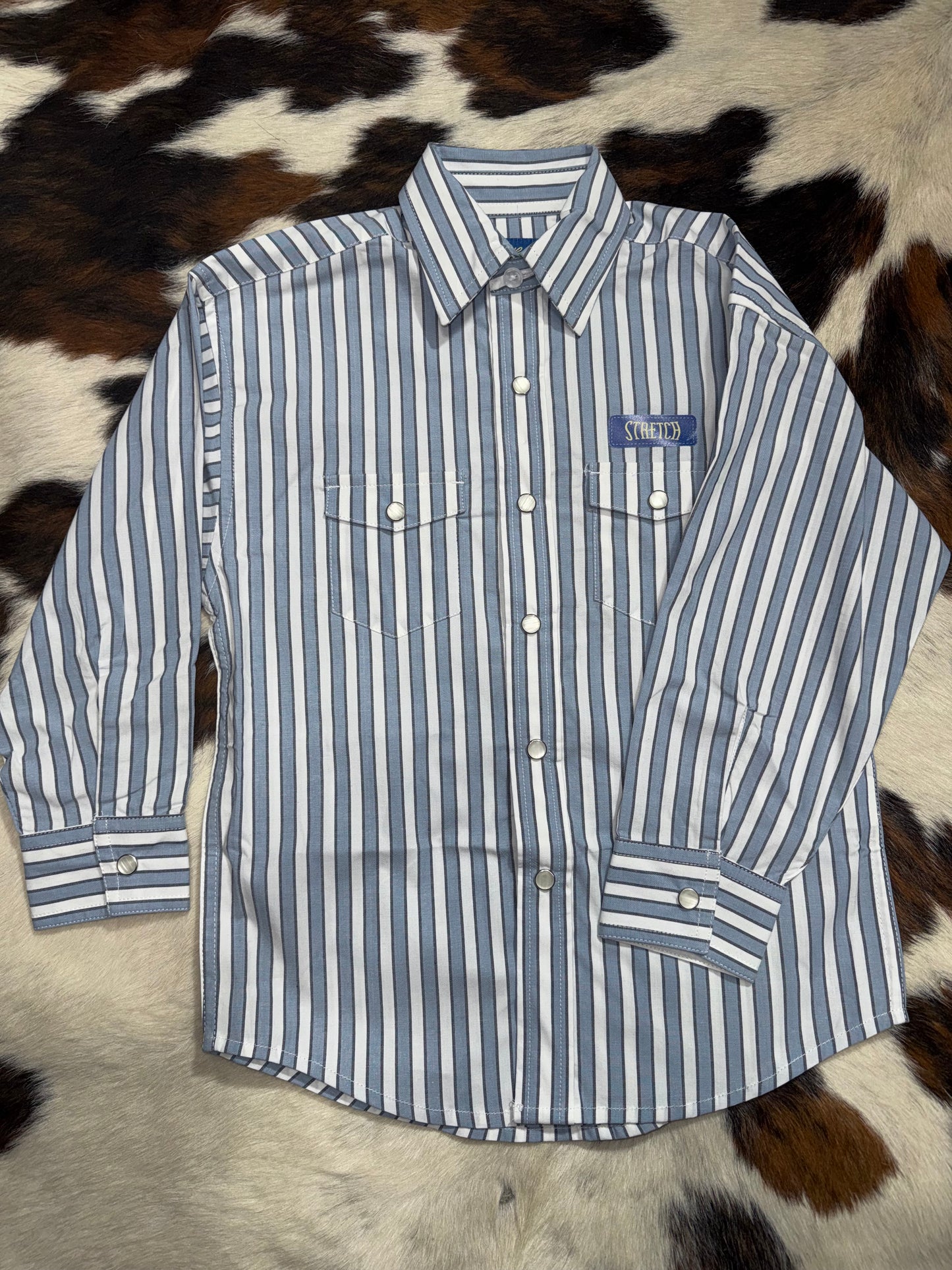 Panhandle Boy's Blue Stripe Western Shirt