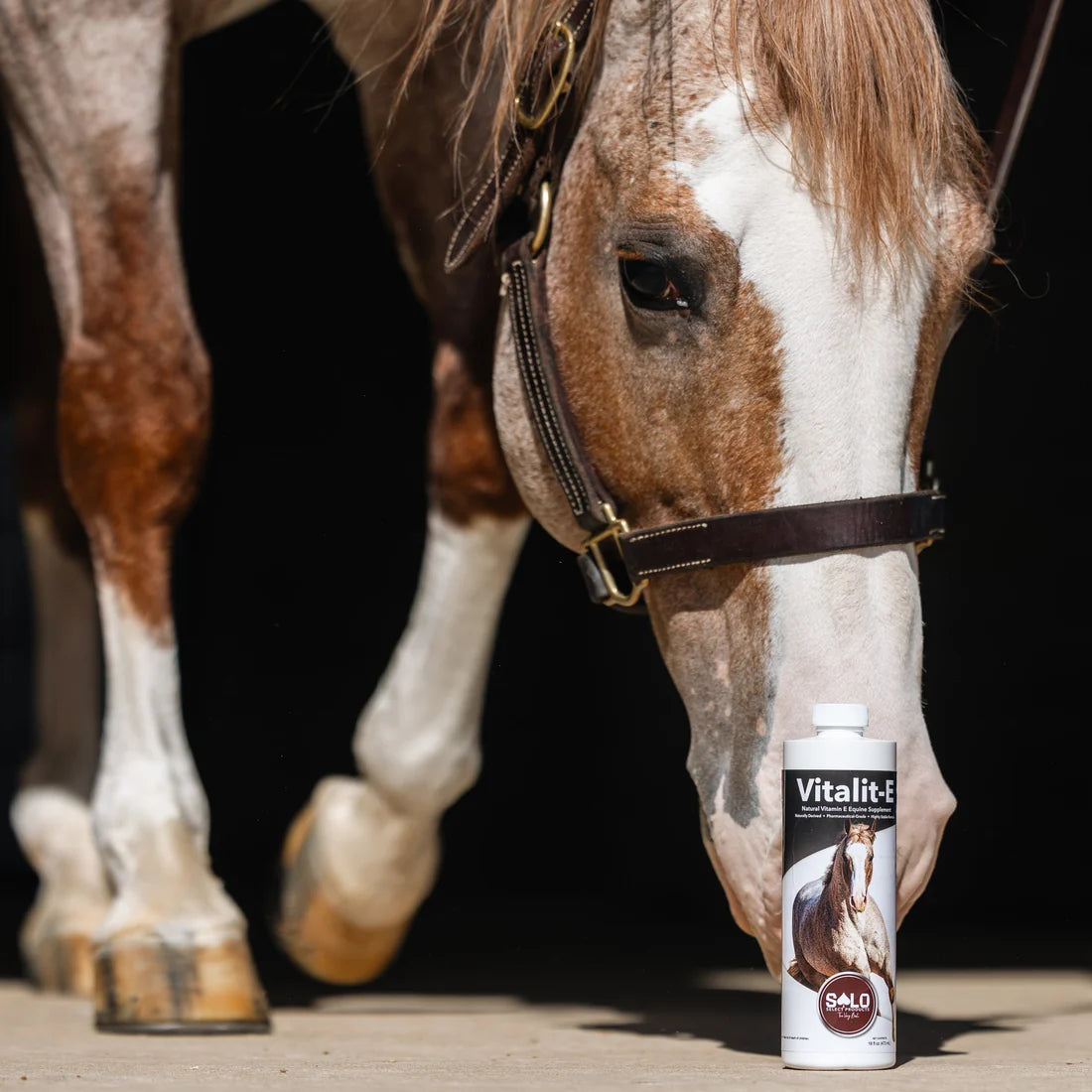 Solo Select Vitalit-E: Vitamin E Liquid Horse Supplement 16oz.