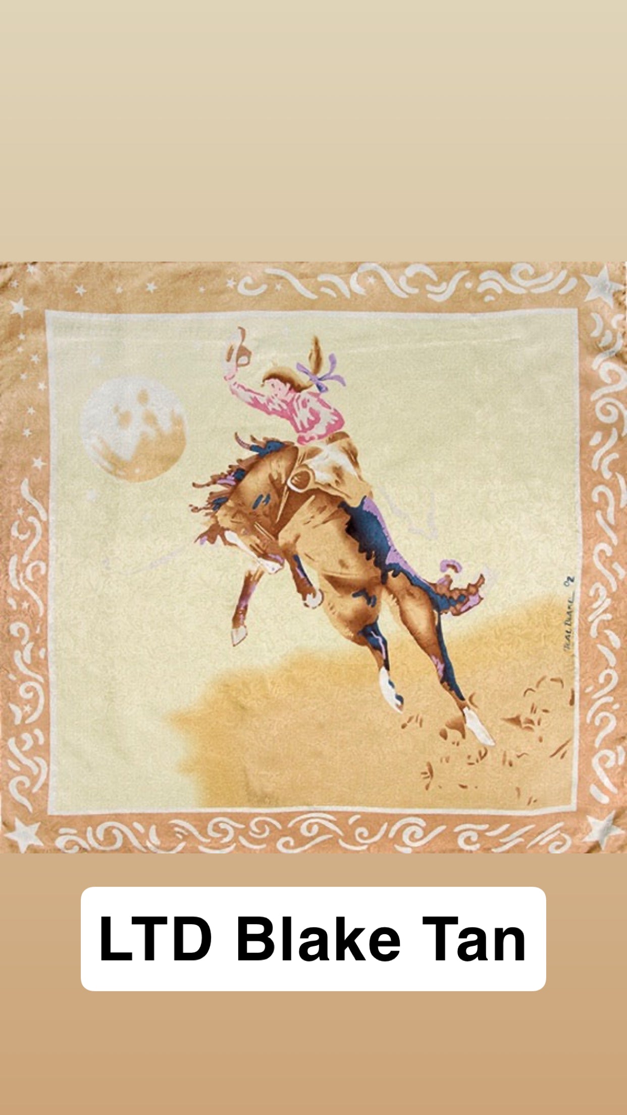 Wyoming Traders Print Silk Wild Rag