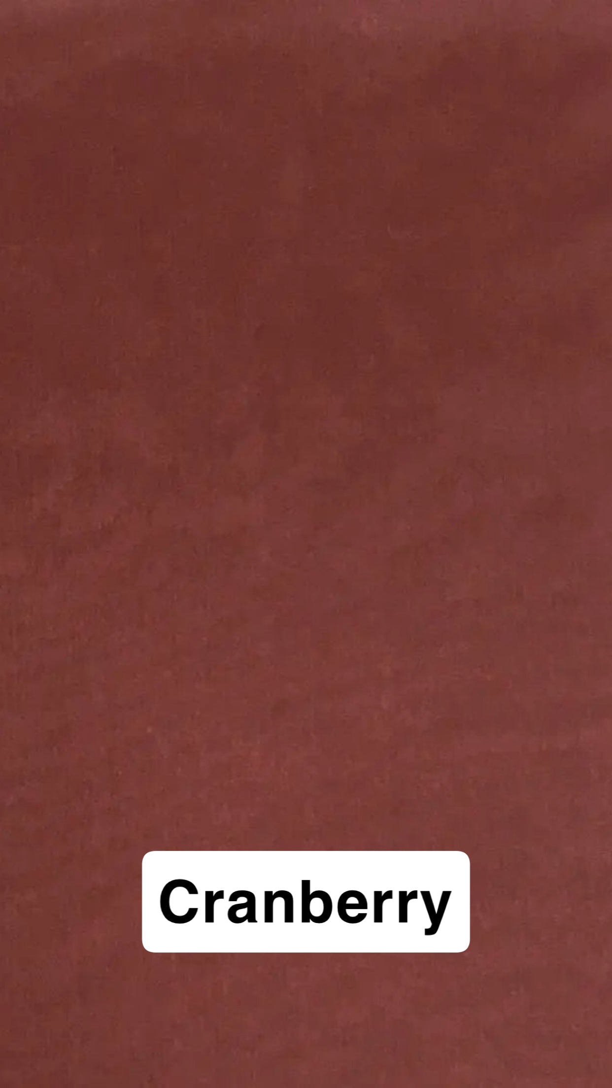 Wyoming Traders Solid Silk Wild Rag