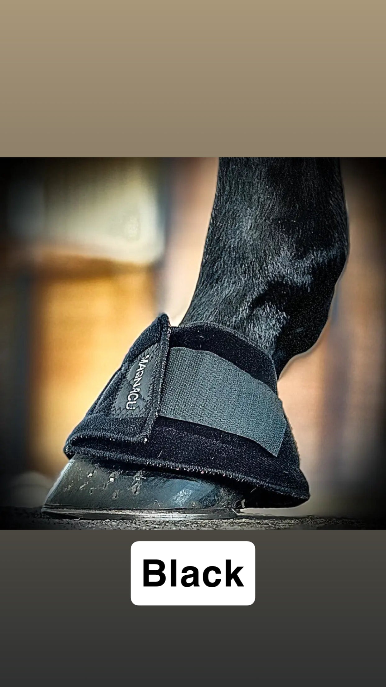 PHT MagnaCu Bell Boots 3.0 – Leanin' Pole Arena