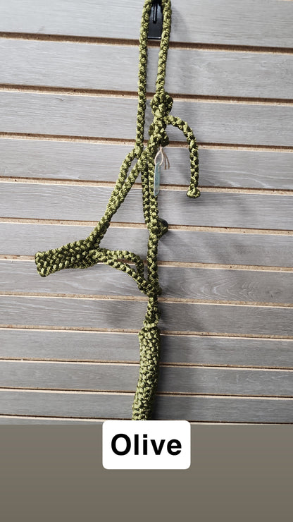 LMB Mule Tape Pony Halter - Solid Color