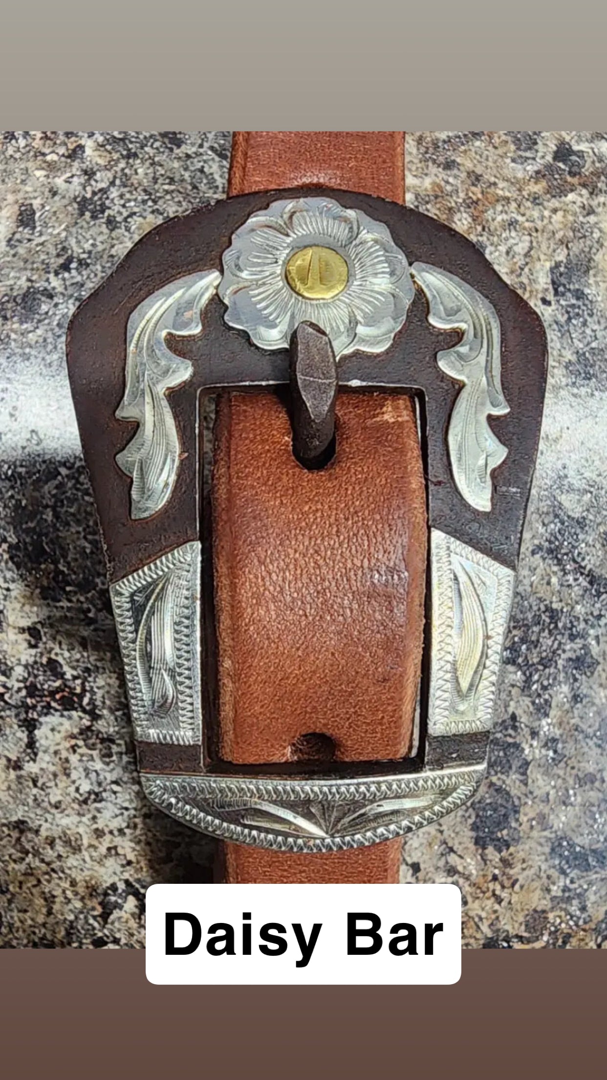 Cowperson Tack Browband Double Buckle Headstall