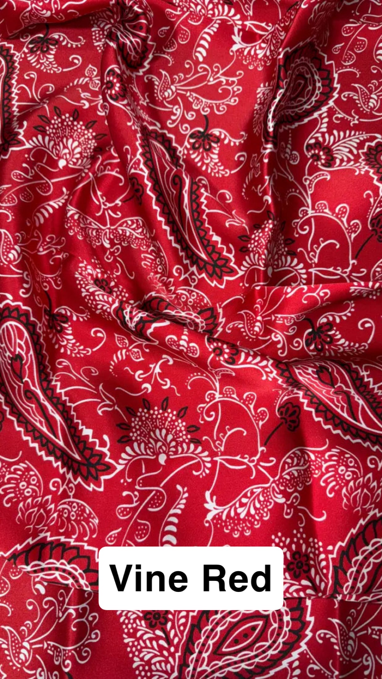 Wild Rags by Lois - Paisley