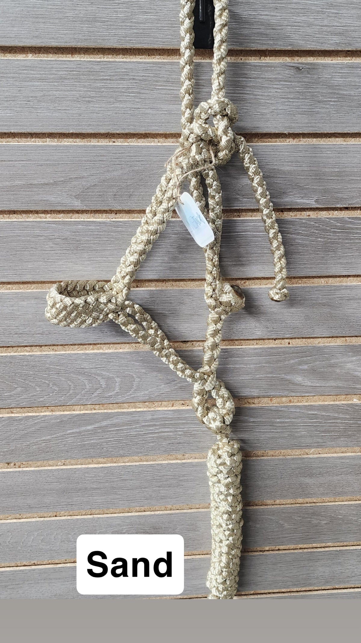 LMB Mule Tape Pony Halter - Solid Color