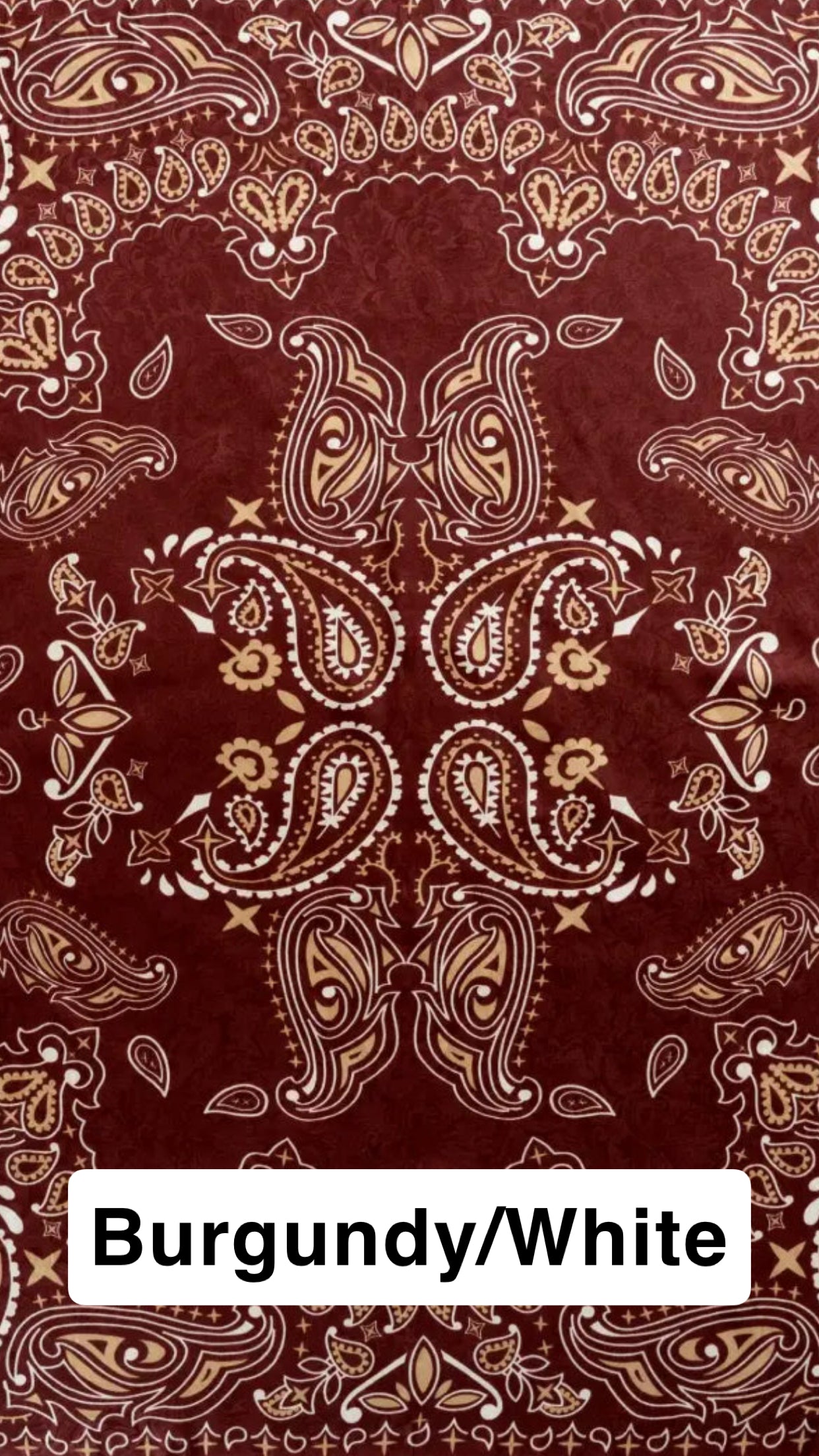 Wyoming Traders Paisley Silk Wild Rag
