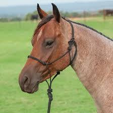 Olive & Purple Classic Equine Premium Rope Halter