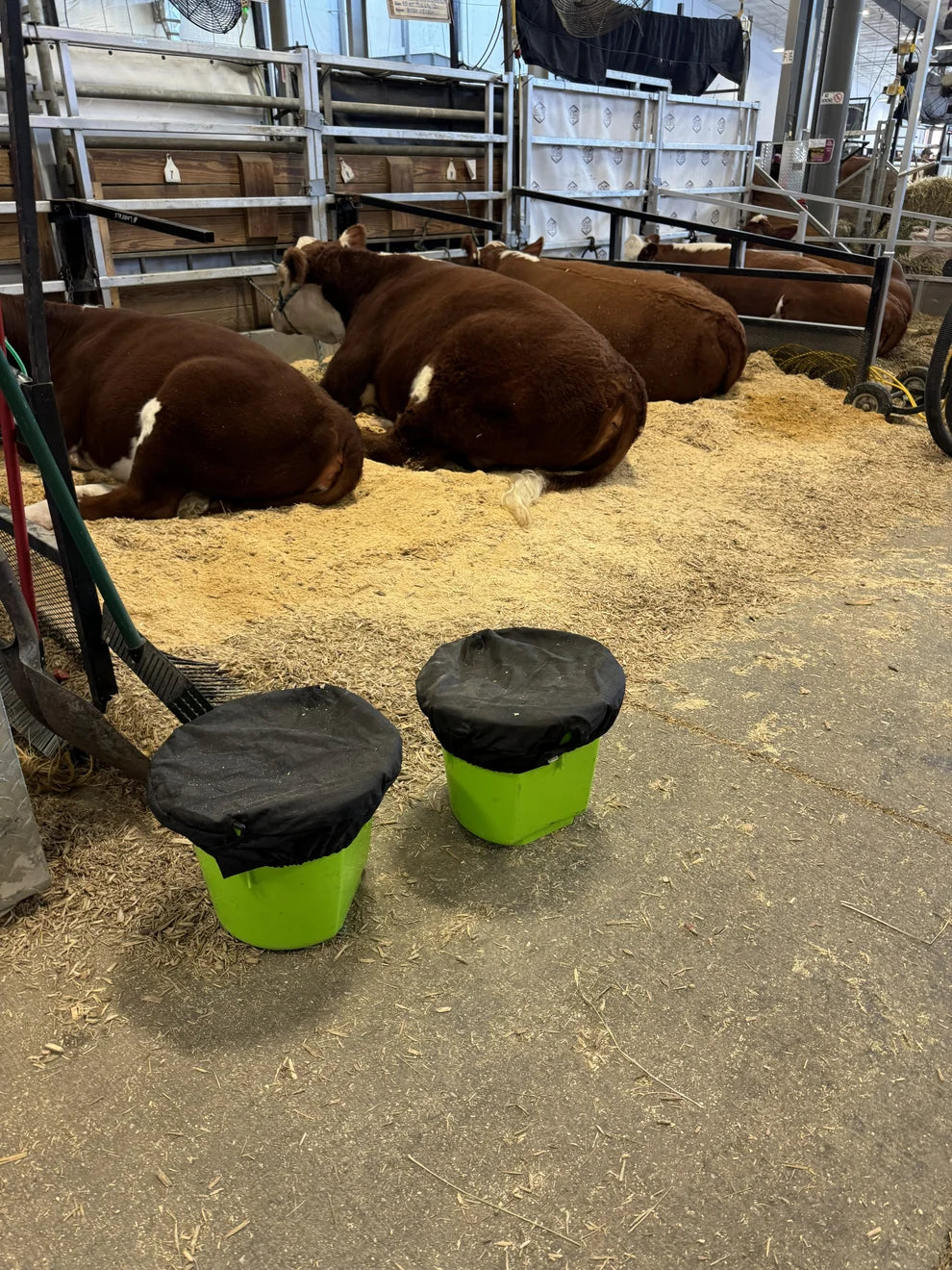 Basic Bucket Tops