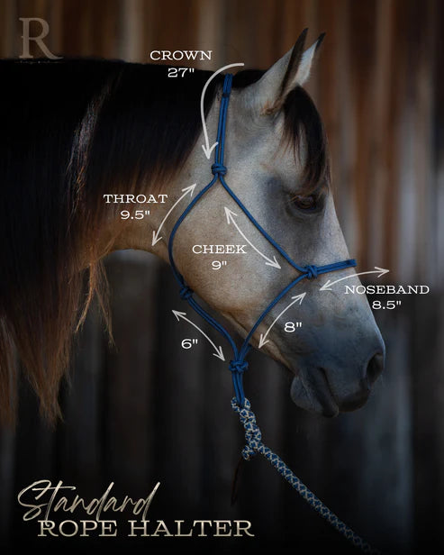 Hay Chix Redemption Rope Halter- Standard Size