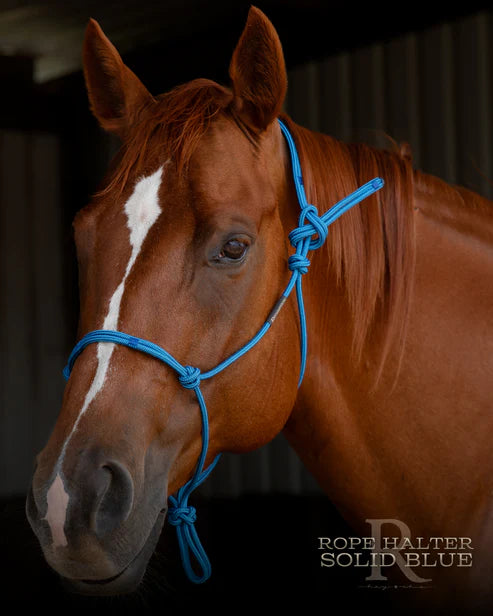 Hay Chix Redemption Rope Halter- Standard Size