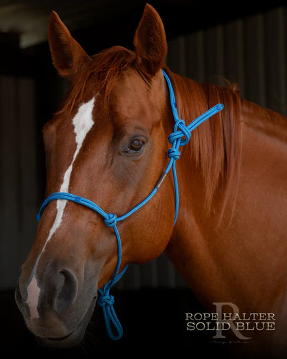 Hay Chix Redemption Rope Halter- Standard Size