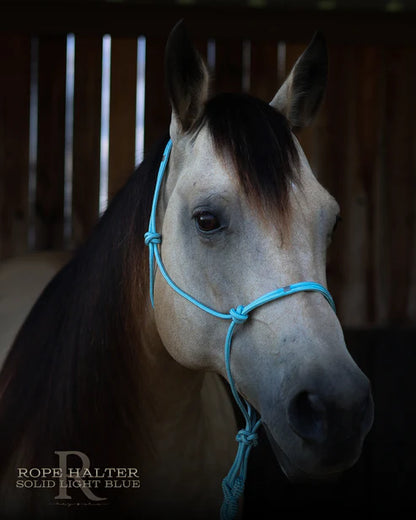 Hay Chix Redemption Rope Halter- Standard Size