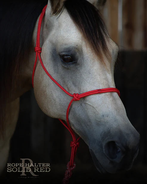 Hay Chix Redemption Rope Halter- Standard Size