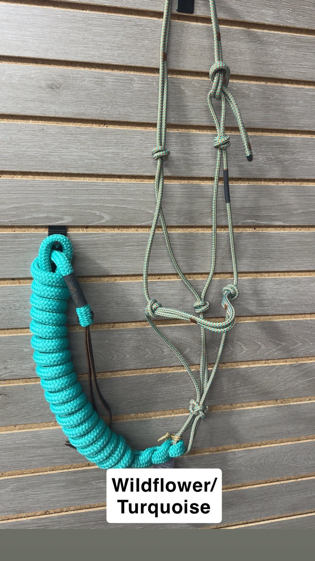 Hay Chix Halter & Lead Rope Set (Random Colors)