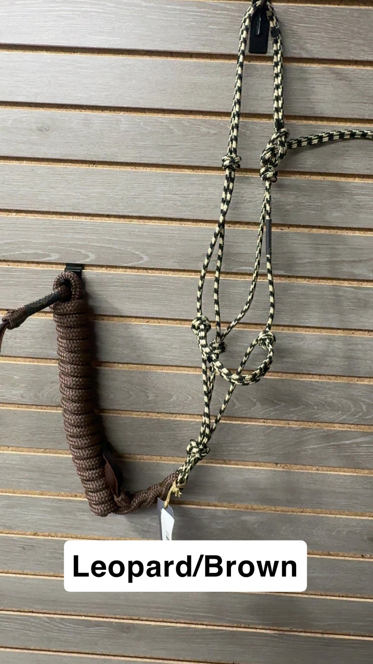 Hay Chix Halter & Lead Rope Set (Random Colors)