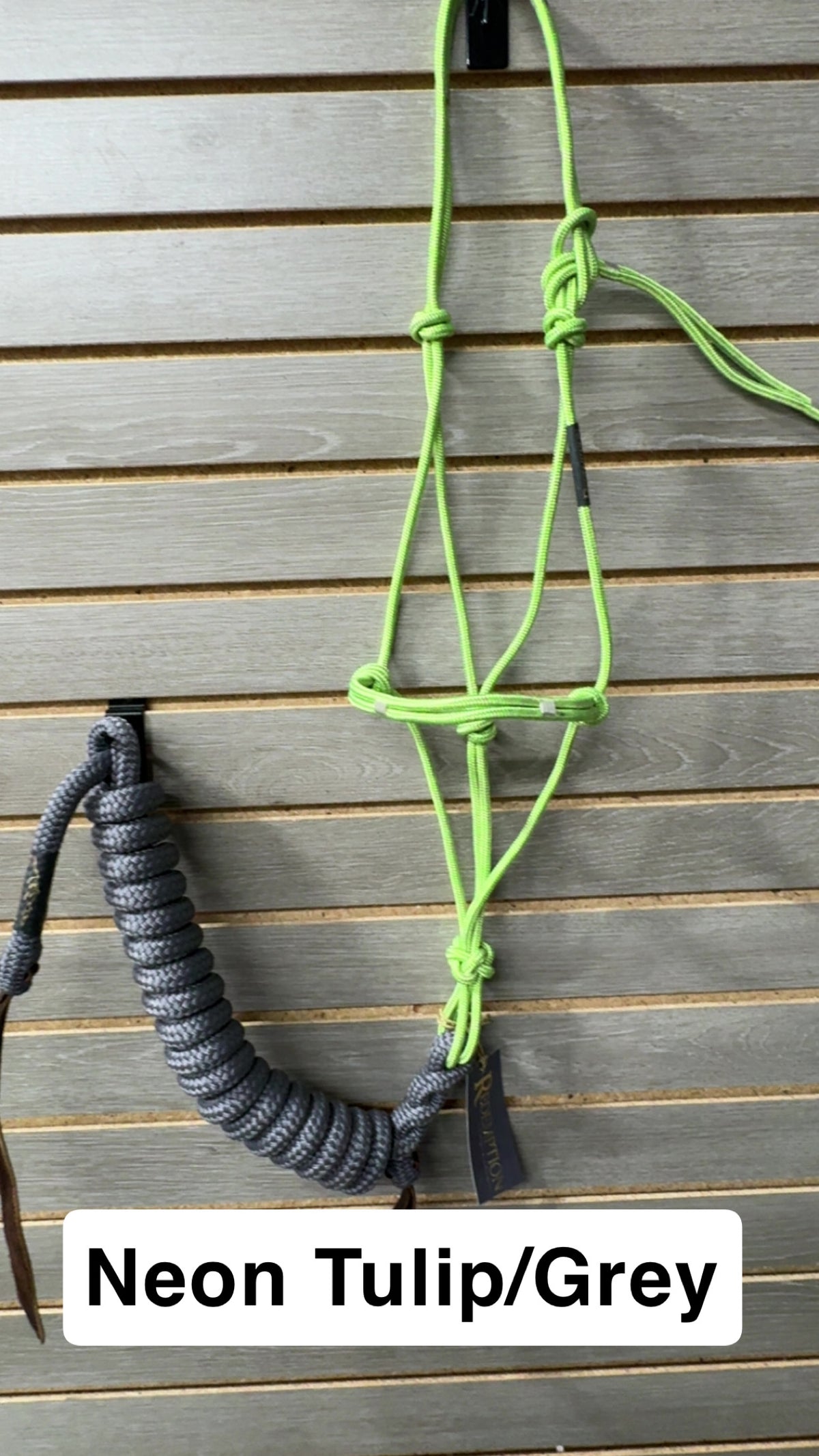 Hay Chix Halter & Lead Rope Set (Sale Colors)