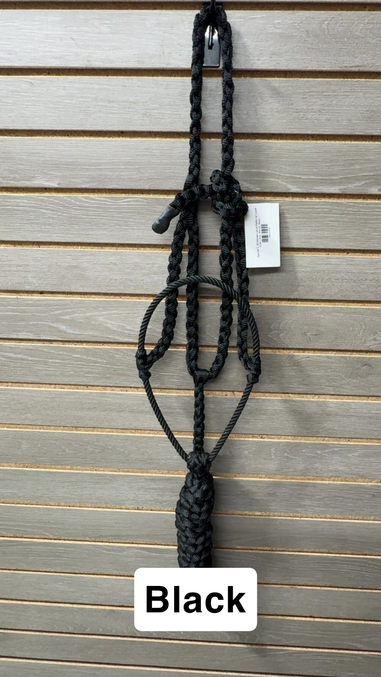 Special C Muletape Lariat Halter w/ Lead