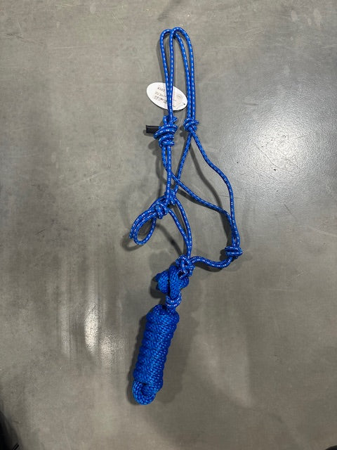 CST Economy Colt Rope Halter & Lead