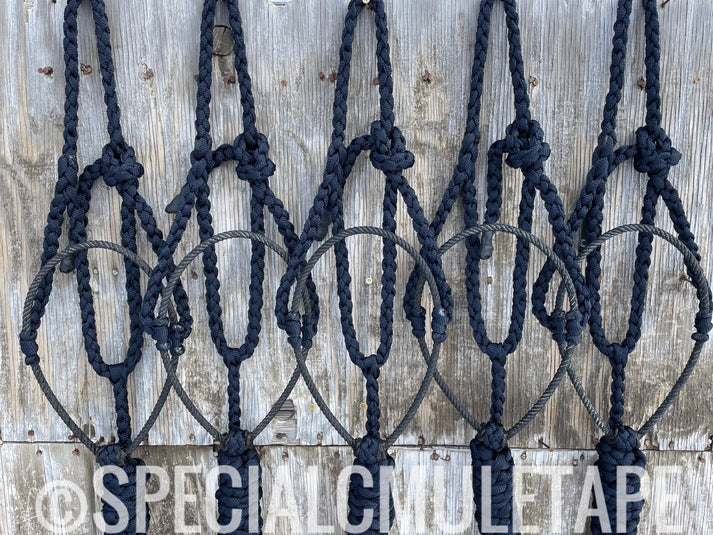 Special C Muletape Lariat Halter w/ Lead