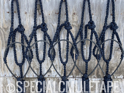 Special C Muletape Lariat Halter w/ Lead