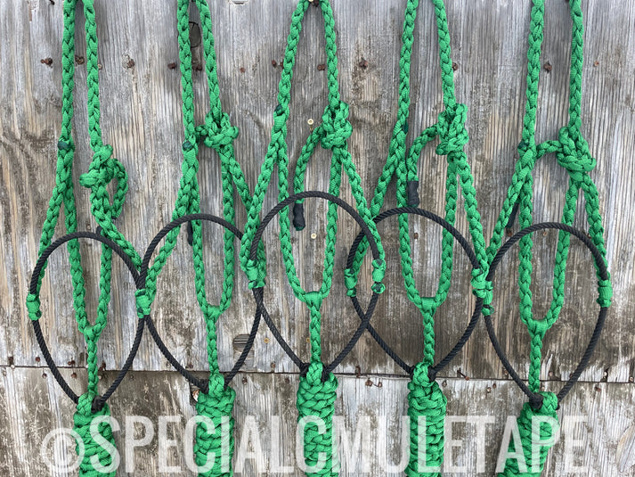 Special C Muletape Lariat Halter w/ Lead