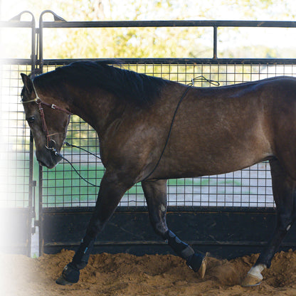 Professional's Choice Lunging Buddy