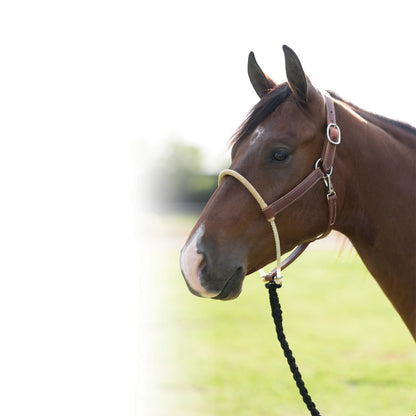 Professional's Choice Ranch Halter with Rawhide Wrapped Rope Nose and Lead