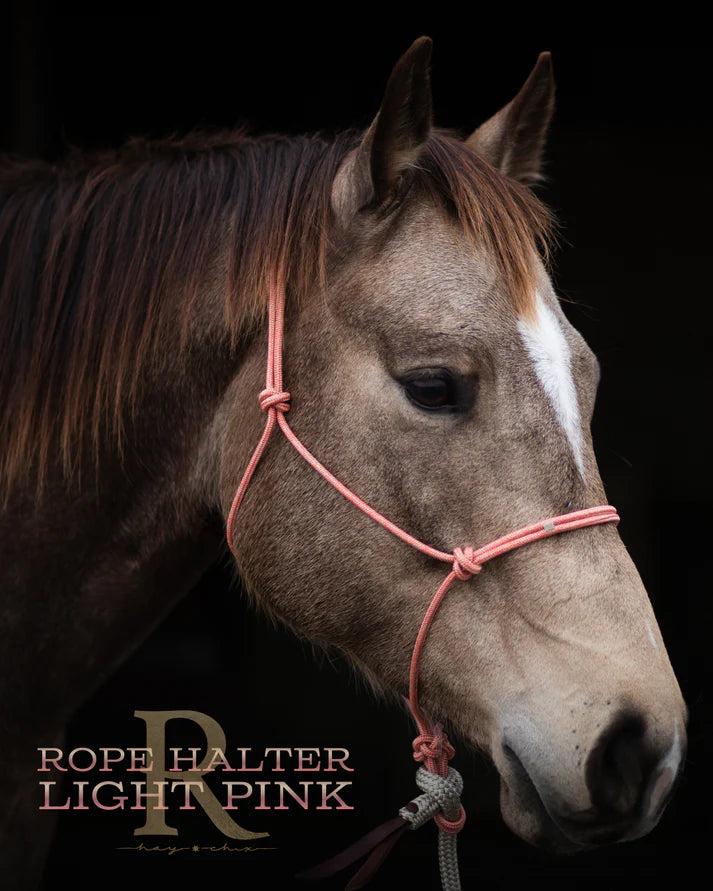 Hay Chix Redemption Rope Halter