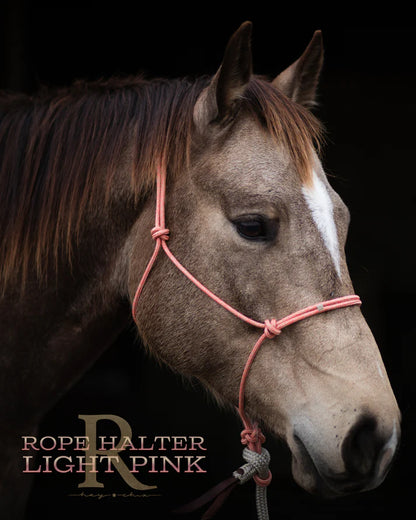 Hay Chix Redemption Rope Halter