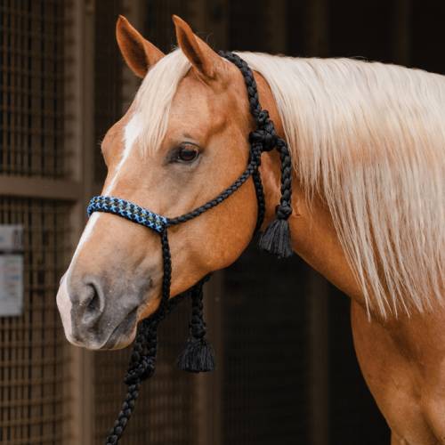 Professional's Choice Cowboy Braided Woven Halter with 10' Lead