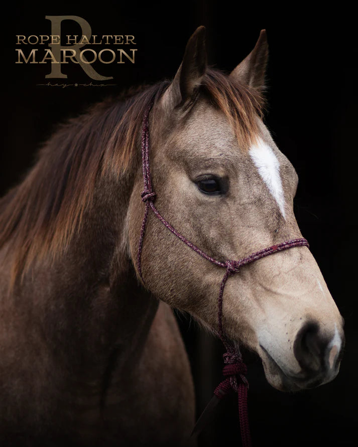 Hay Chix Redemption Rope Halter