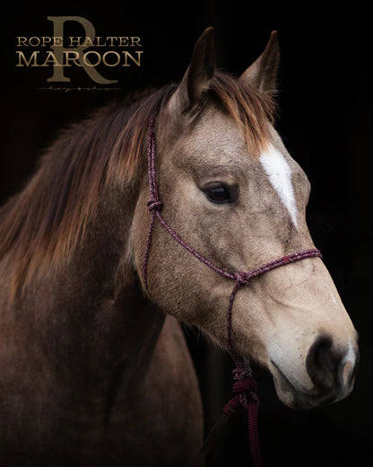 Hay Chix Redemption Rope Halter