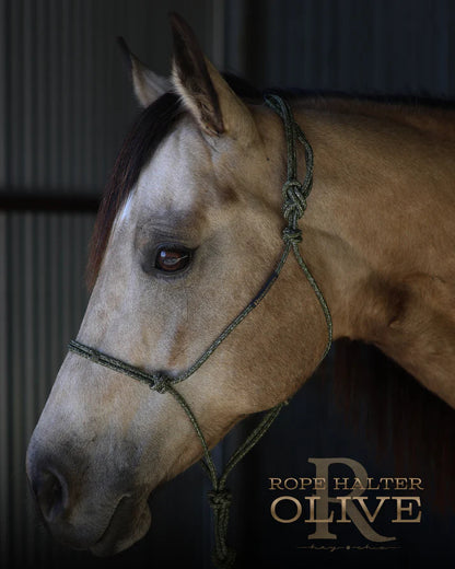 Hay Chix Redemption Rope Halter