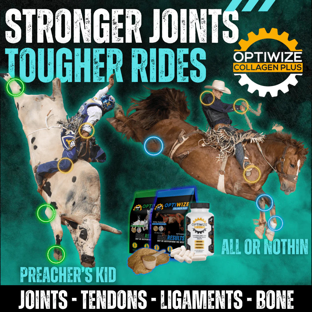 OptiWize Collagen Plus Horse Joint Supplement
