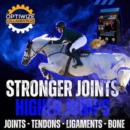 OptiWize Collagen Plus Horse Joint Supplement