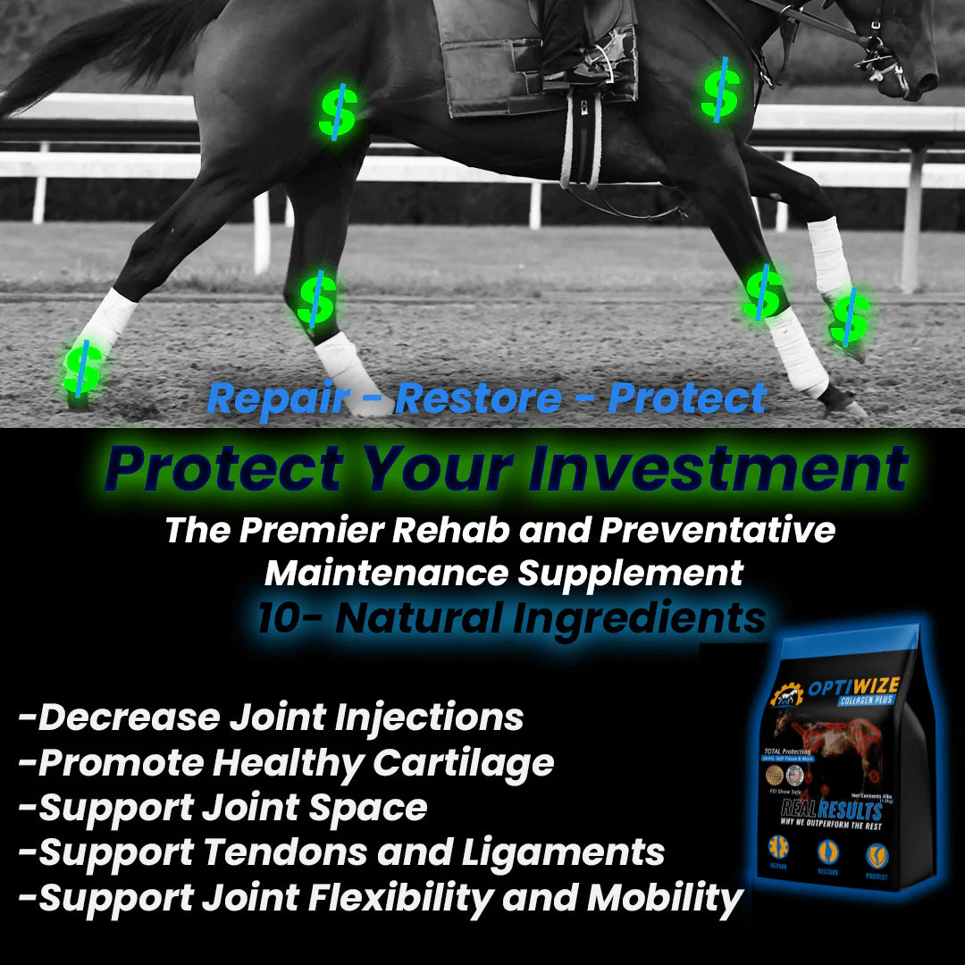 OptiWize Collagen Plus Horse Joint Supplement