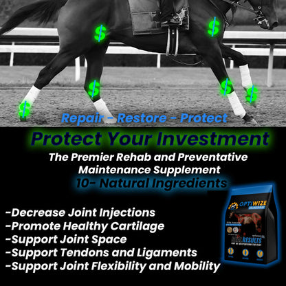 OptiWize Collagen Plus Horse Joint Supplement