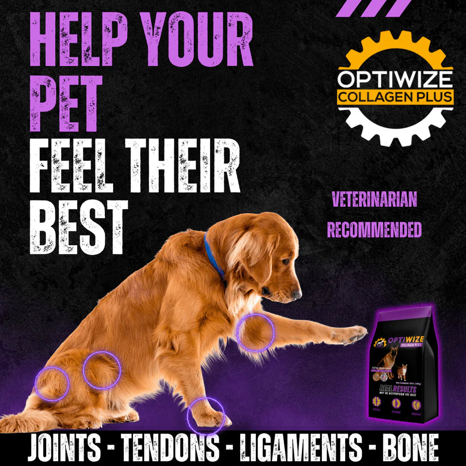 OptiWize Dog & Cat Joint Health Supplement